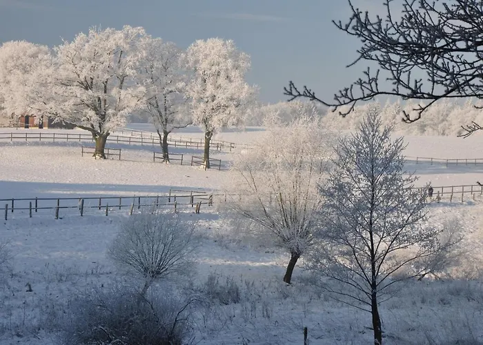 Zum Brandenburger Tor Self Check In *